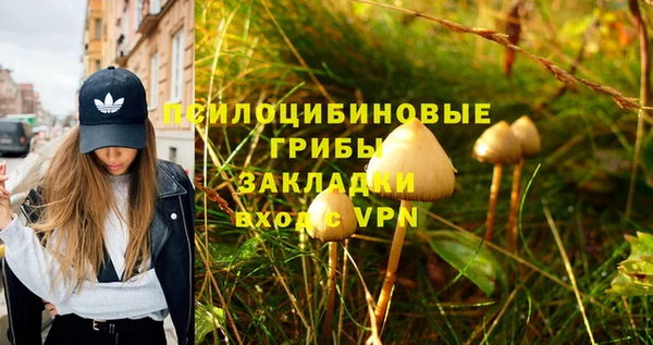 PSILOCYBIN Волоколамск