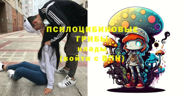 PSILOCYBIN Волоколамск