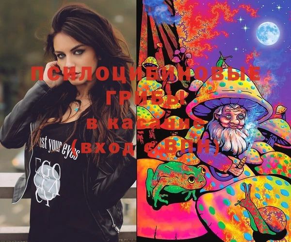 PSILOCYBIN Волоколамск