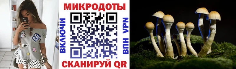 Галлюциногенные грибы мухоморы Горячеводский