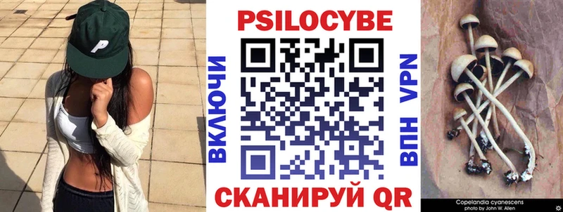 Псилоцибиновые грибы Psilocybe  даркнет сайт  Горячеводский 